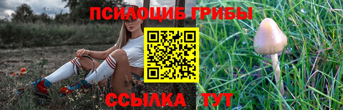 Псилоцибиновые грибы мицелий  Вход с VPN  Советская Гавань 