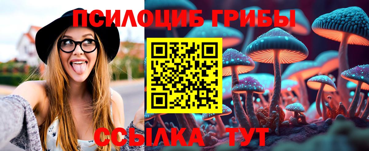 Галлюциногенные грибы Magic Shrooms Советская Гавань